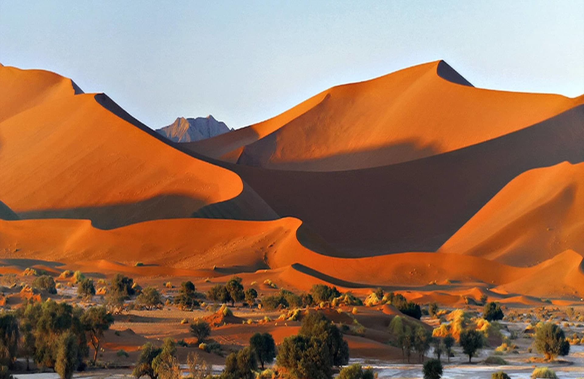 Namib-Experience_main banner