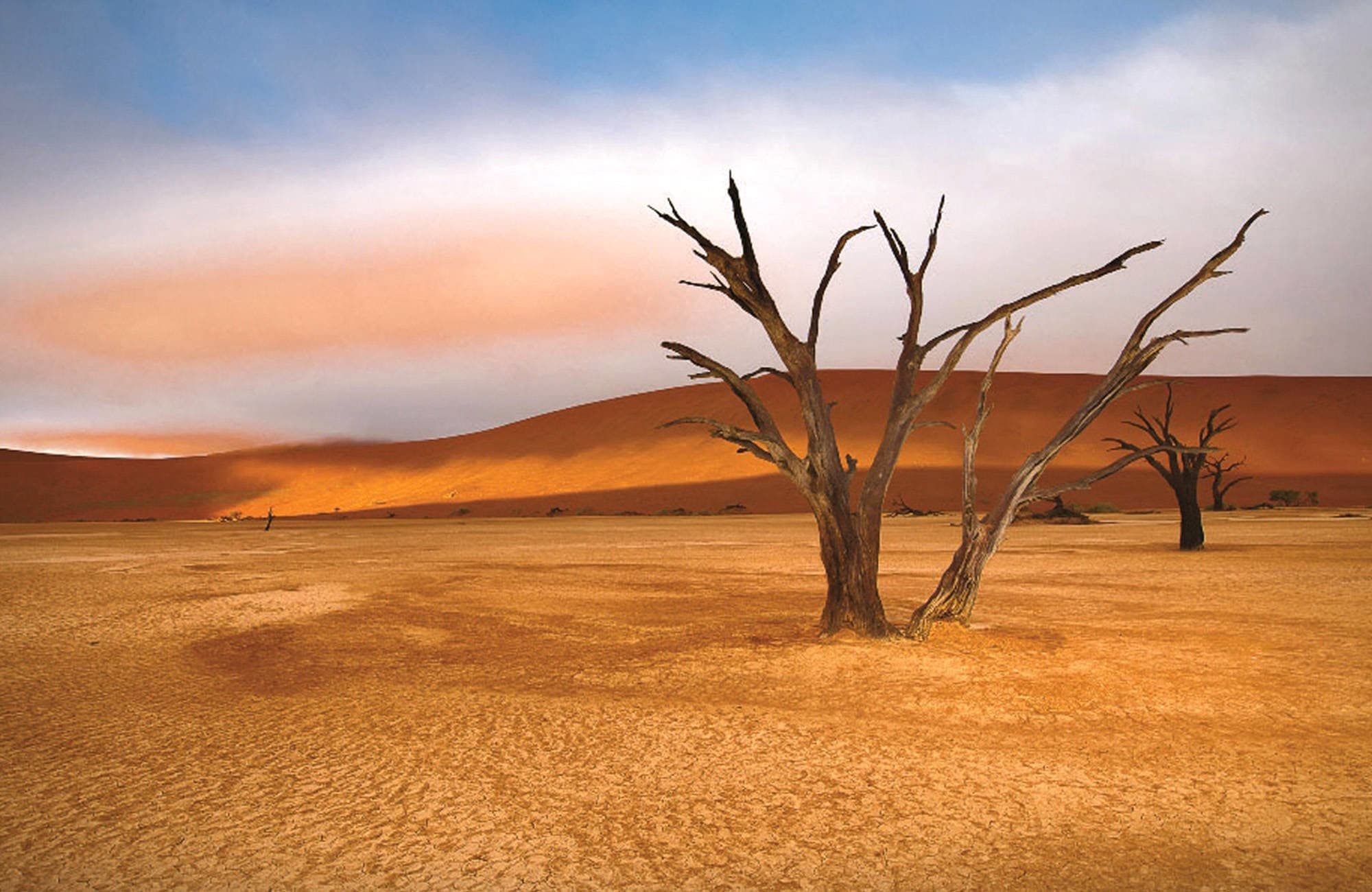 namibia-deadvlei