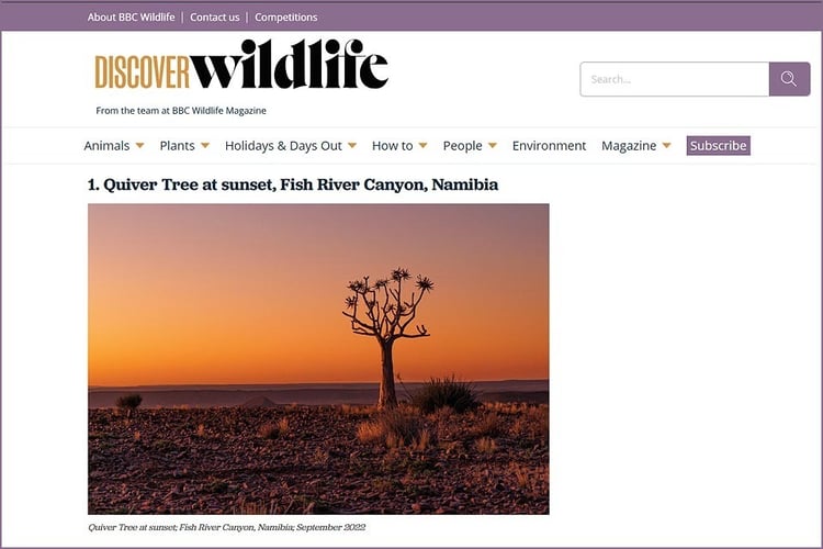 BBC Discover Wildlife photo competition quiver tree Fish River Canyon sunset Namibia